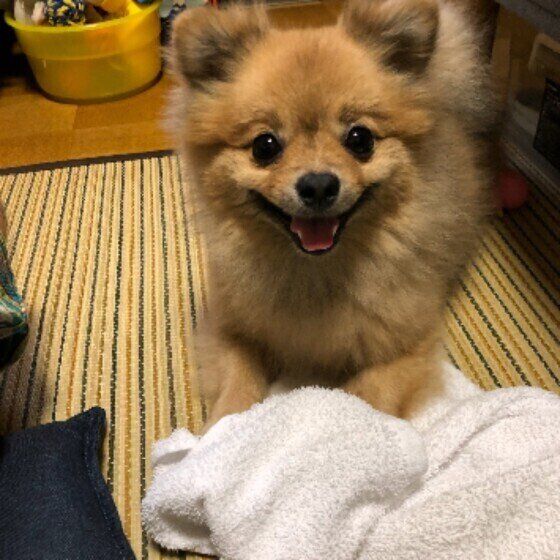 笑顔の七ちゃん