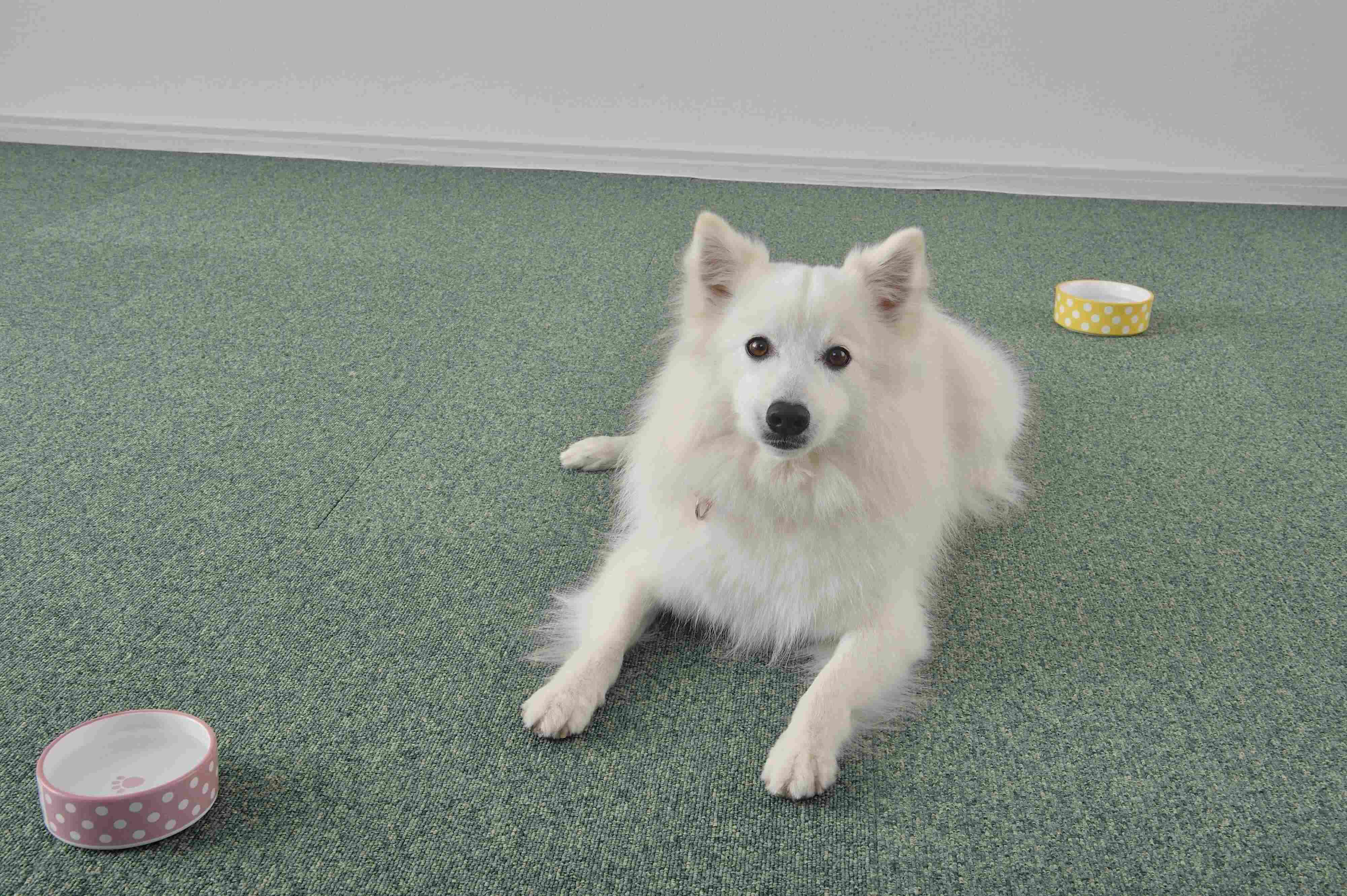 写真／佐藤正之