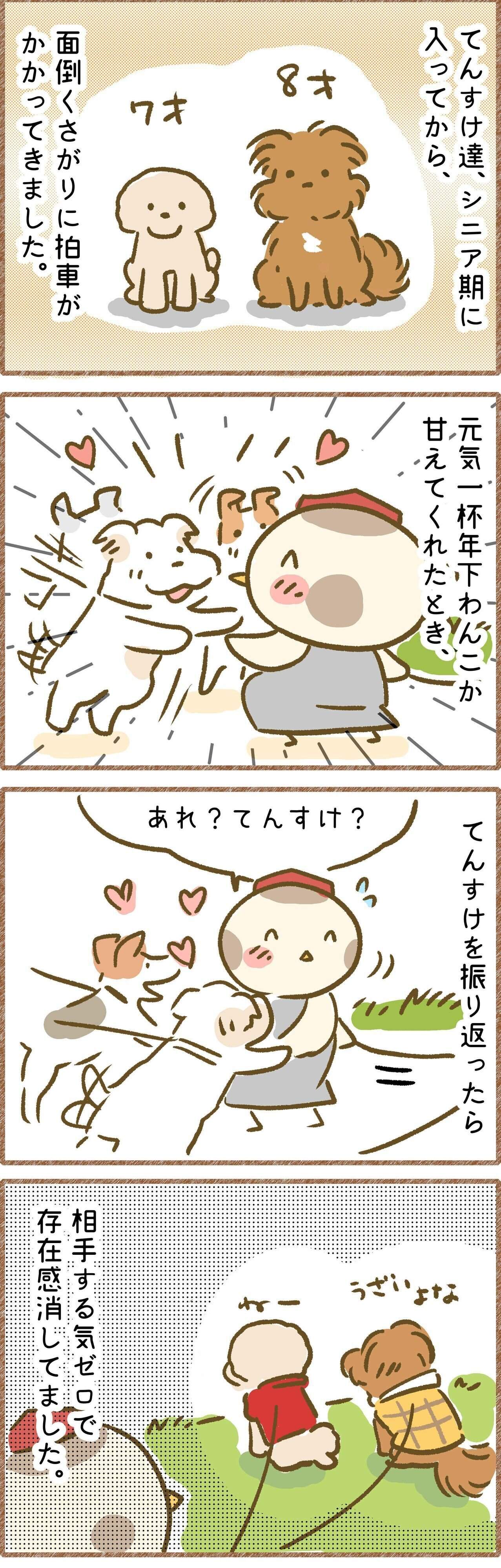 連載「こぐま犬てんすけ」