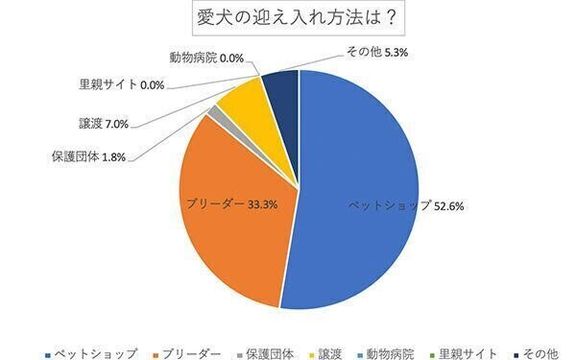 愛犬の迎え入れ方法は?