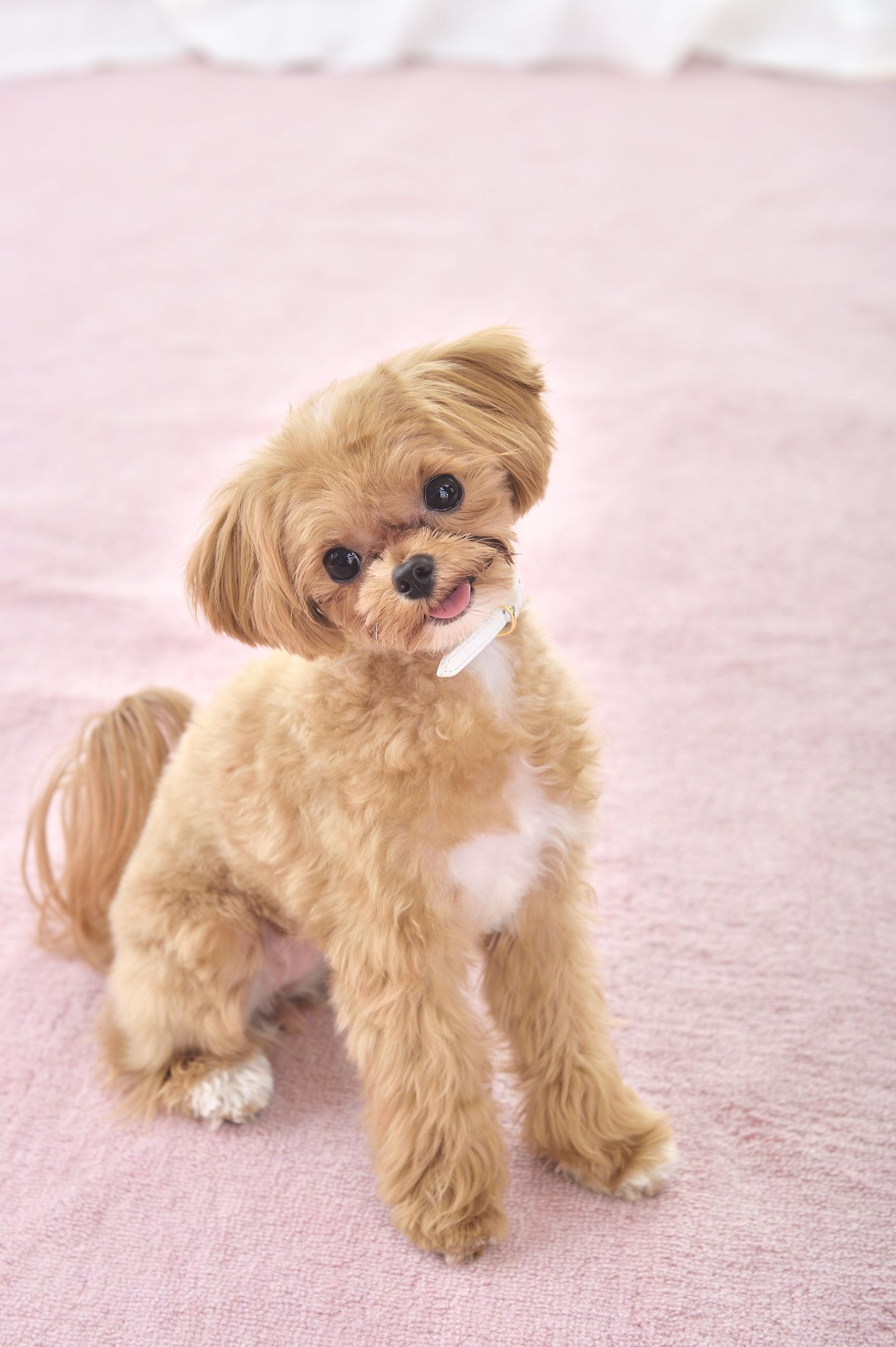 撮影／佐藤正之