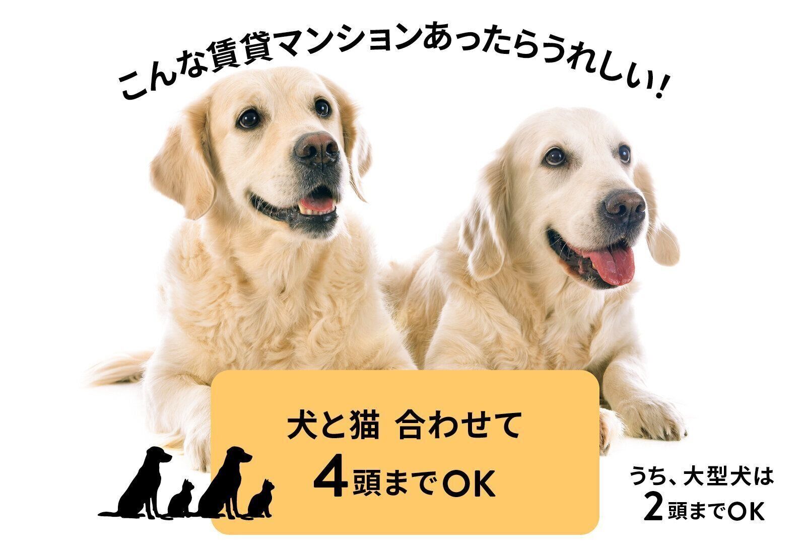 フジタ　大和リビング　リーラ横浜川和町　月次健診　犬猫合わせて4頭　マンション　賃貸マンション　いぬのきもち　いぬ