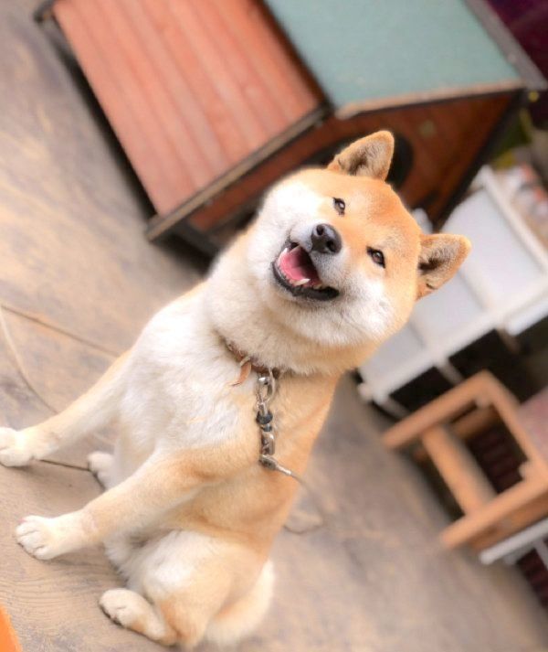 笑顔のそらくん