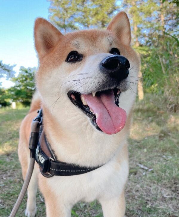 笑顔が可愛い栗太郎くん