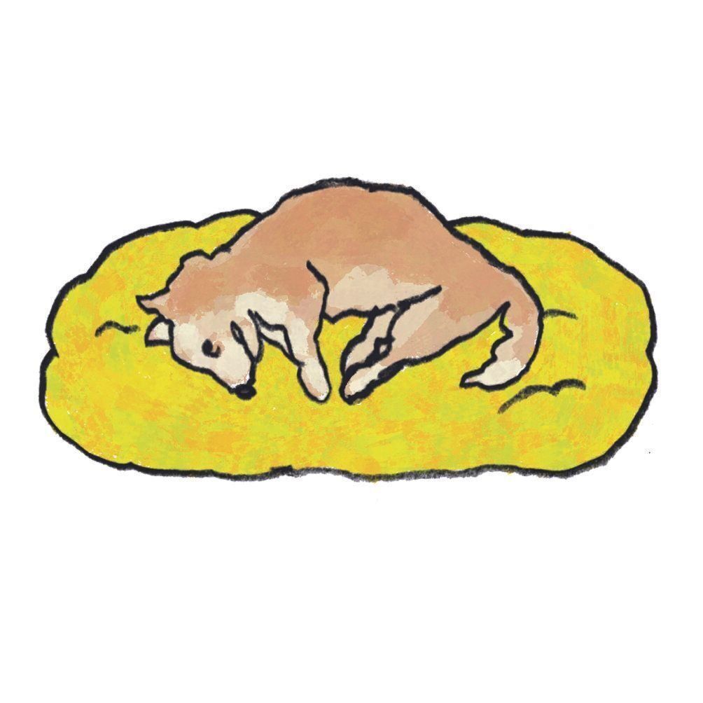 イラスト／五嶋直美