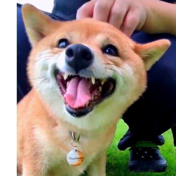 笑顔とヒコーキ耳