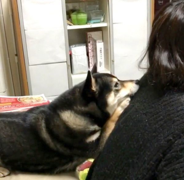 寄りかかる吾子ちゃん