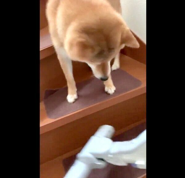 鉄壁の守りを見せる銀次くん