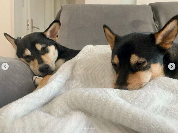 仲良く眠るななちゃんといぶきくん