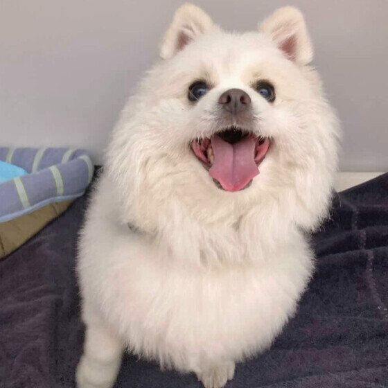 早く遊ぼう〜♪