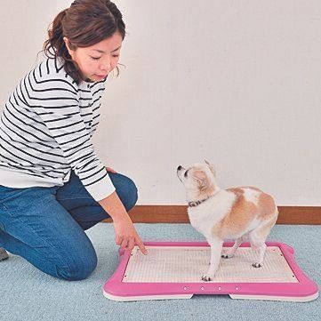 家でのトレーニングと同じ声かけで促す