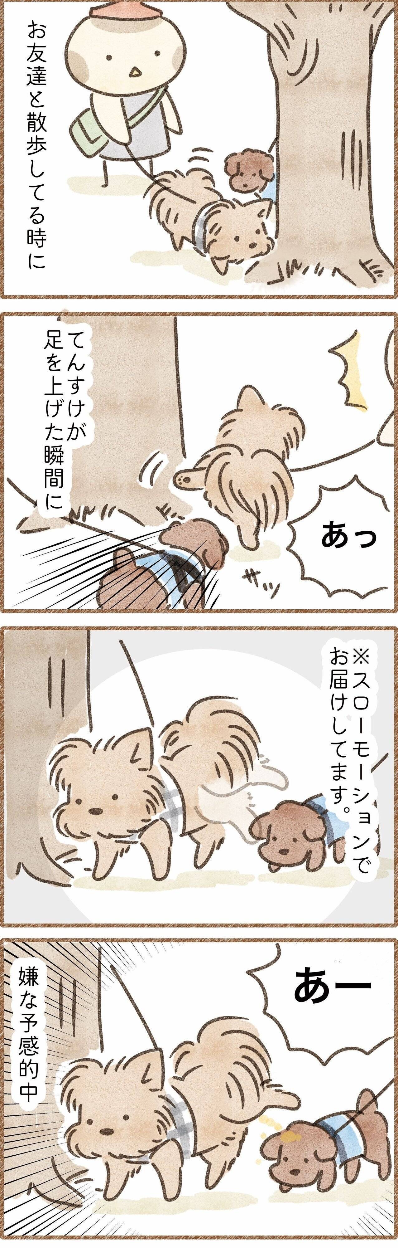 犬のしっこがかかってしまった漫画