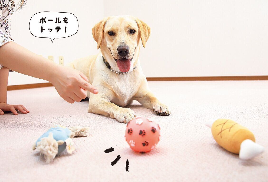 撮影／尾﨑たまき