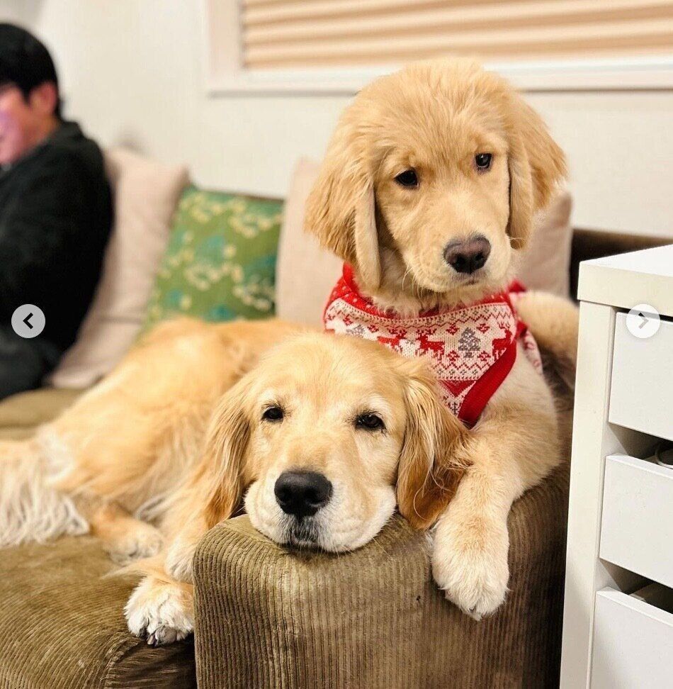 仲良しなコメちゃん、イクラちゃん