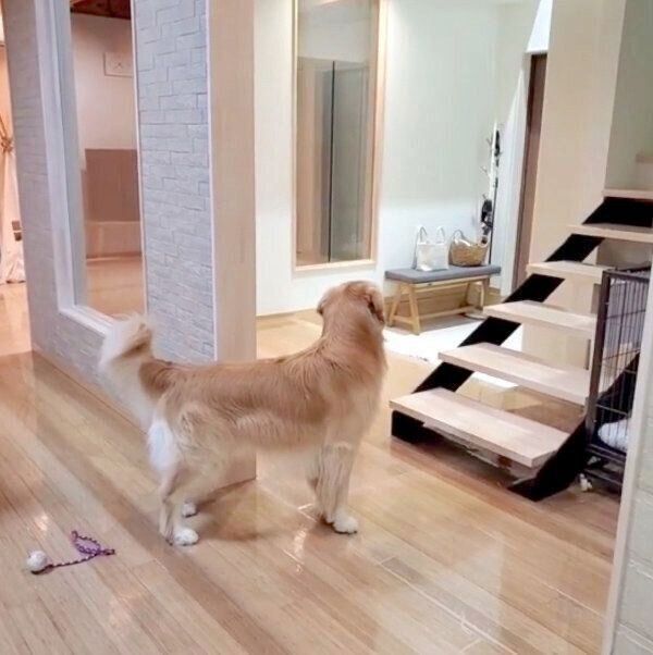 パパさんの姿を探すアランくん