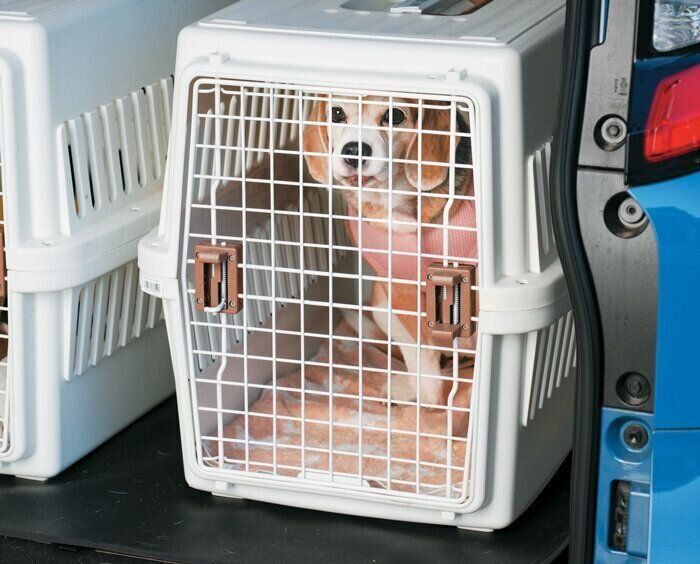 タオルが敷かれたクレート