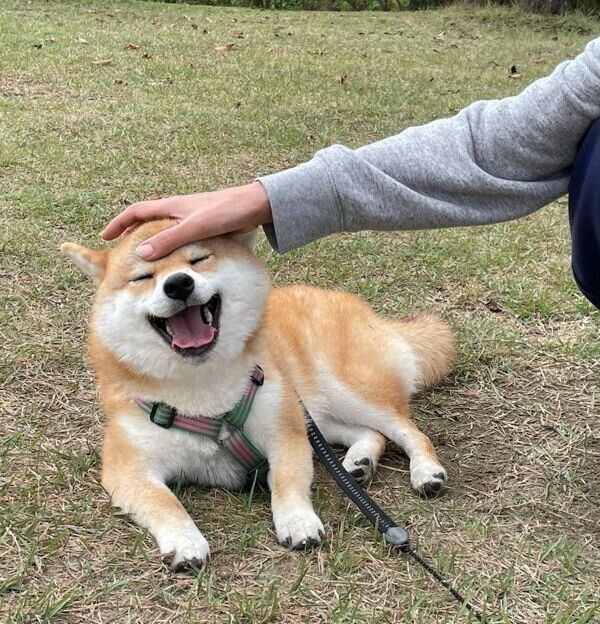 楽しそうなマヤちゃん