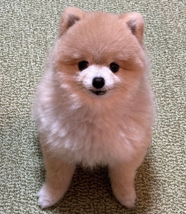 「なんか今日、おじいじゃない…???」