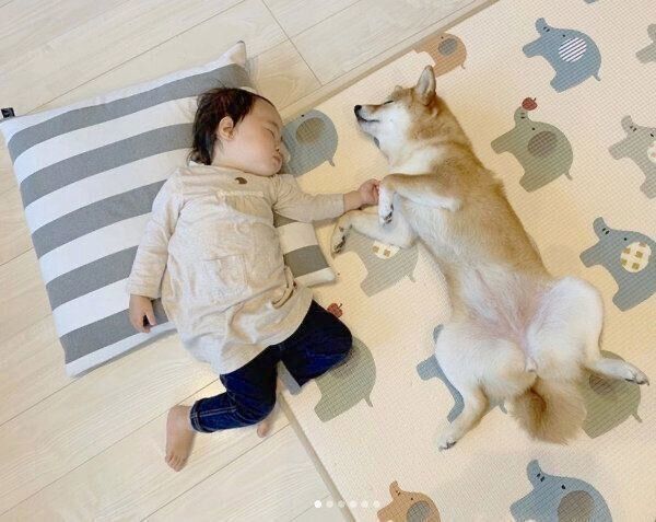 幸せそうに眠る花子ちゃんとモモ子ちゃん
