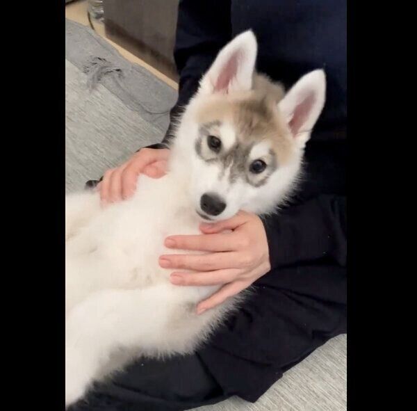 生後4カ月のみぞれちゃん