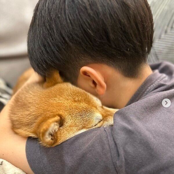 息子くんに抱きしめられるてんぷらちゃん