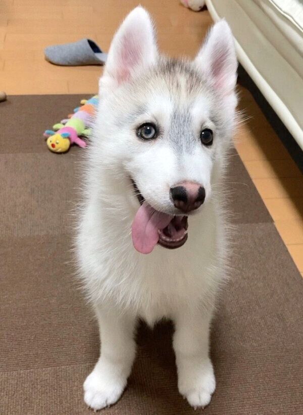 笑顔を見せるクレアちゃん