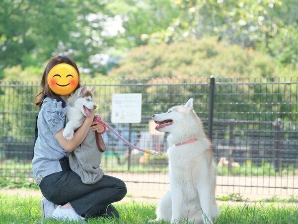 ココちゃん、イチくん