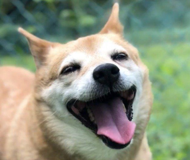 満面の笑みを浮かべるスーちゃん