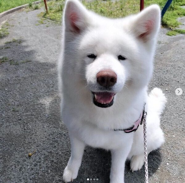 笑顔が可愛い小梅ちゃん