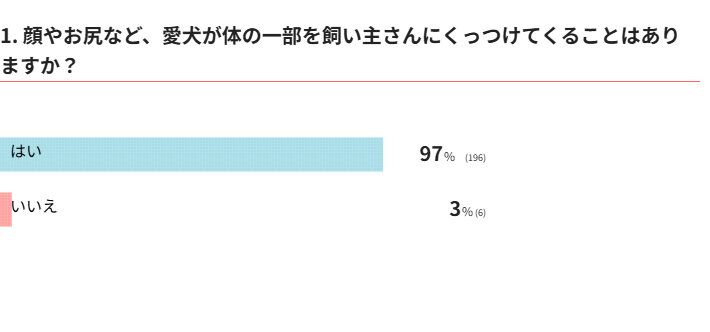 愛犬が体の一部をくっつけてくることはある？