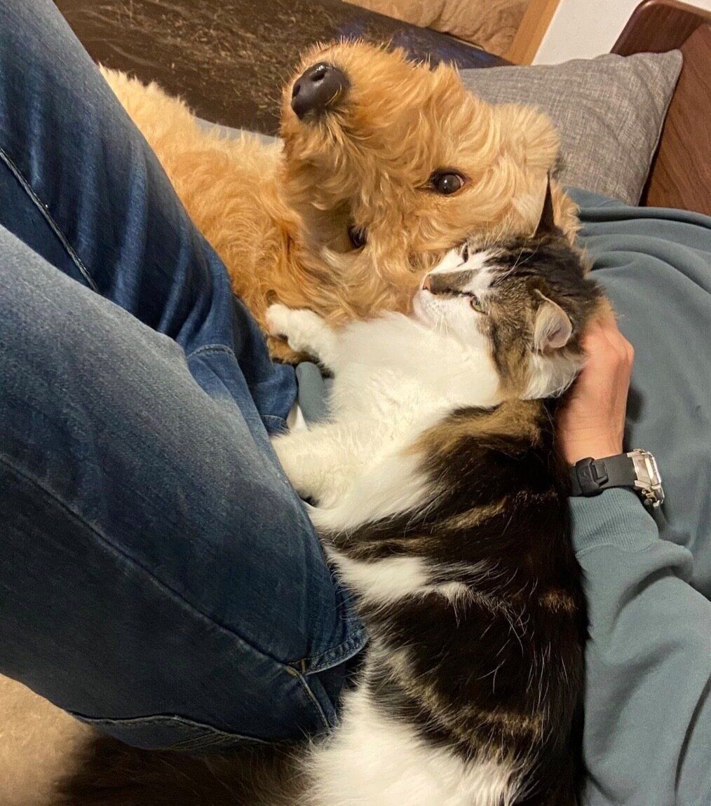 くっつくえんじろうくん、さんちゃん