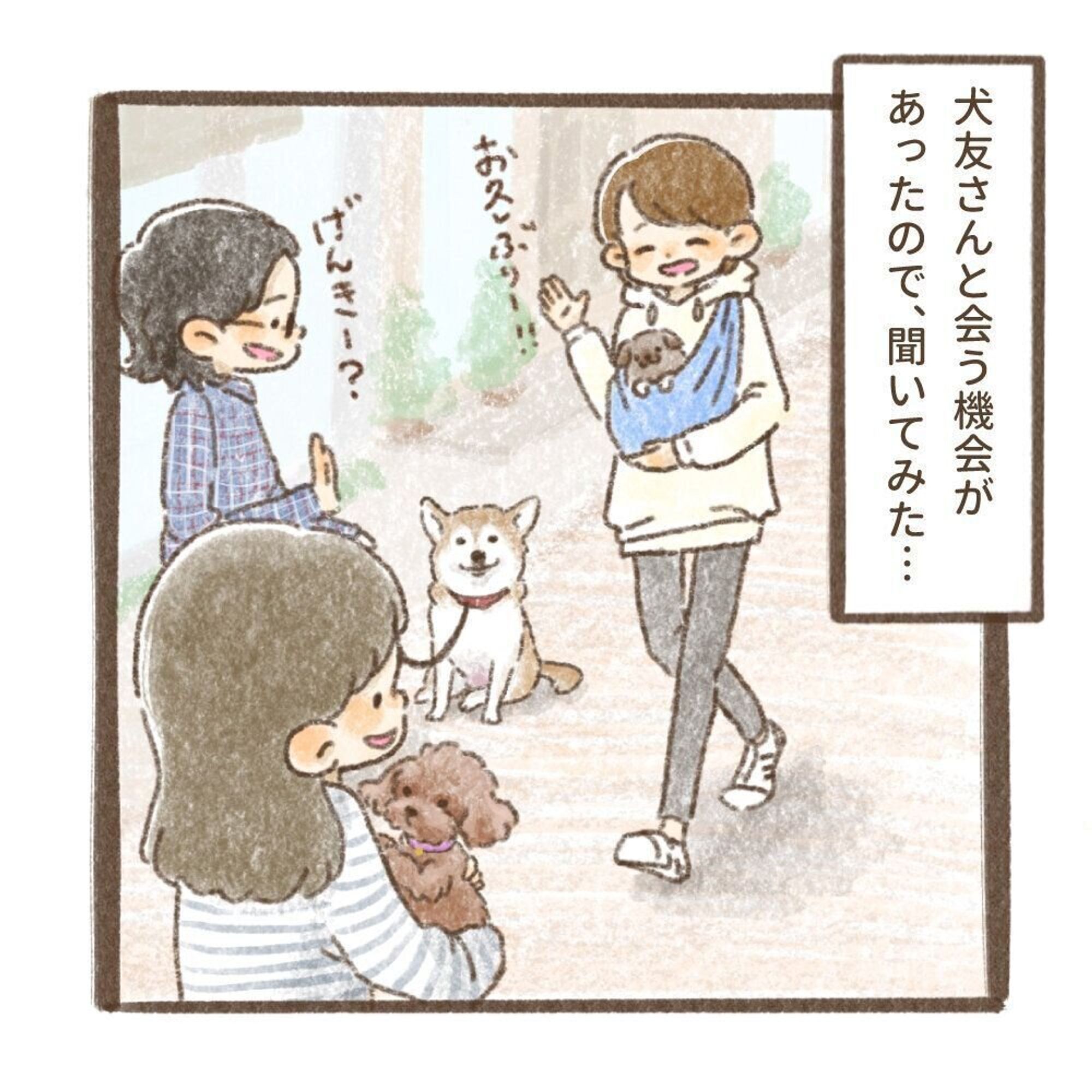 Pr 毎日1回フードにかけるだけで健康維持 うちのコにあげられる アマニ油 いぬのきもちweb Magazine Pr 毎日1回フードにかけるだけで健康維持 うちのコにあげられる アマニ油 いぬのきもちweb Magazine