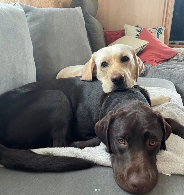 まったりするイズちゃんとワズくん