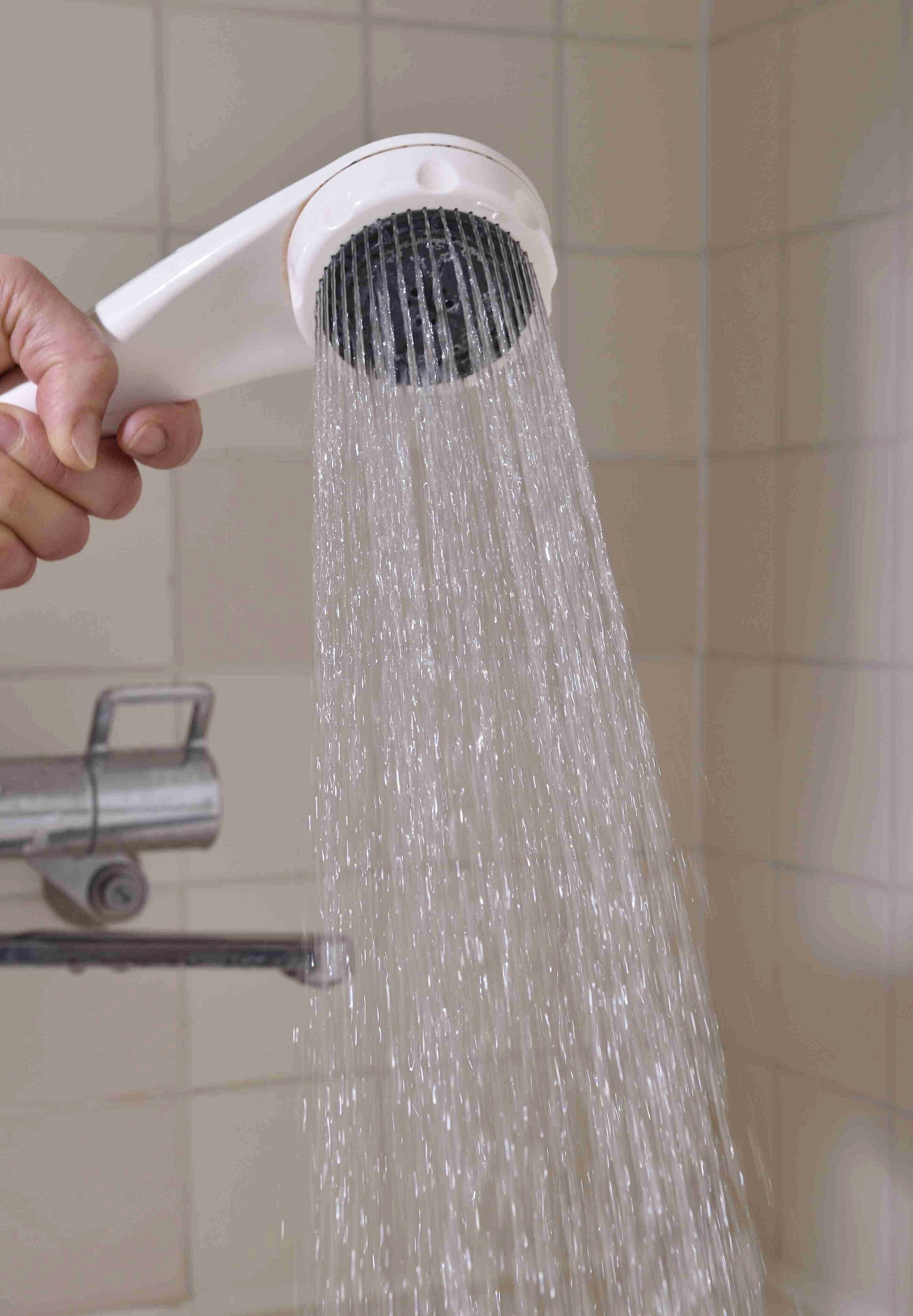 頭上から勢いよくかかるシャワーの水は、犬にとって「嵐」!?（撮影／佐藤正之）