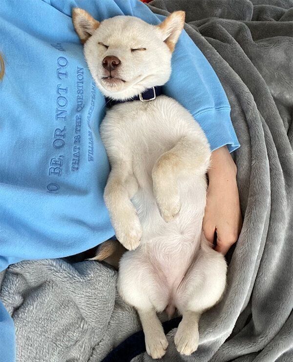 眠るえるちゃん