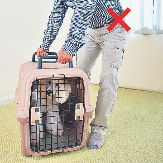 撮影／佐藤正之