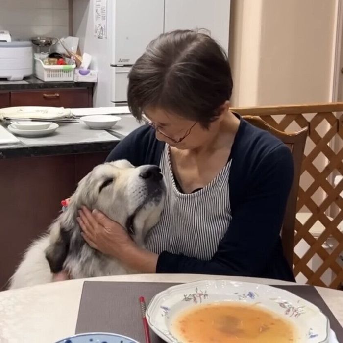 お母さんに甘えるベルちゃん