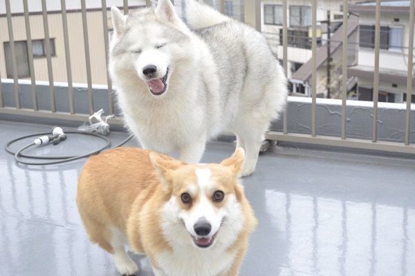 微笑むキャリーちゃんとムギちゃん