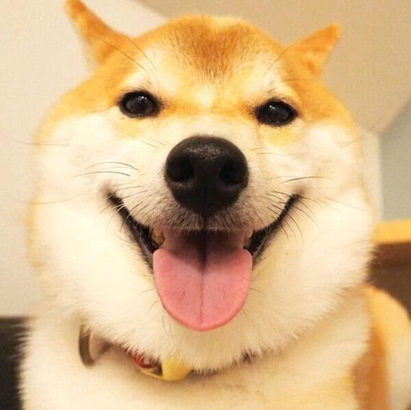 笑顔のこてつくん