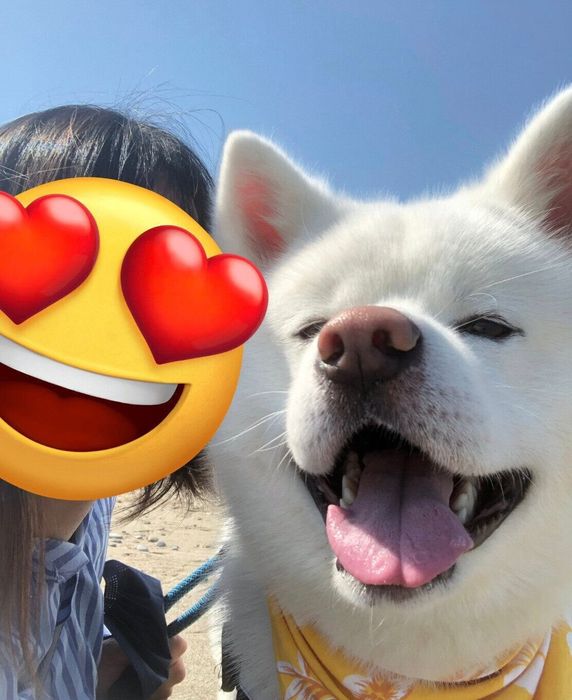 飼い主さんと海くんのベストツーショット