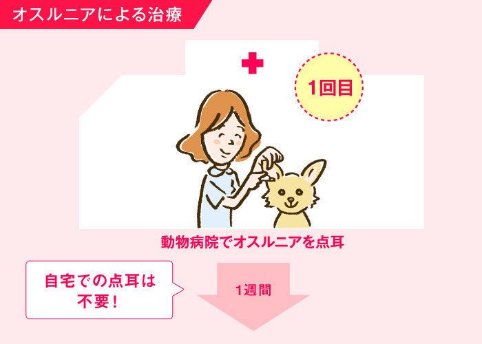 オスルニアによる治療 1回目