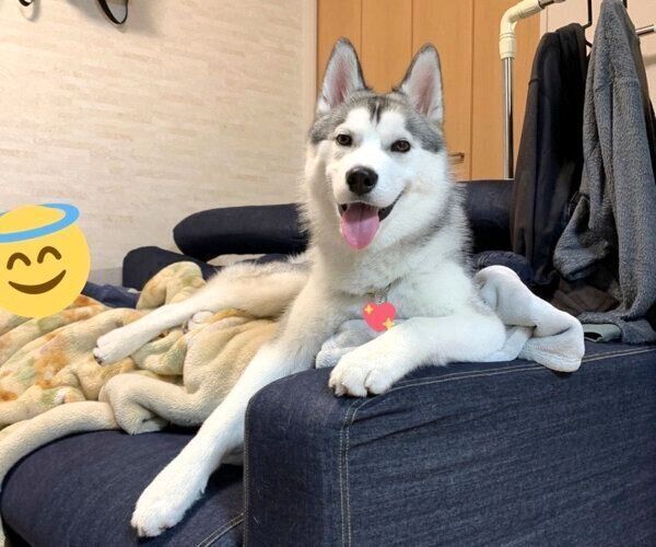 笑顔のじょんすのーくん