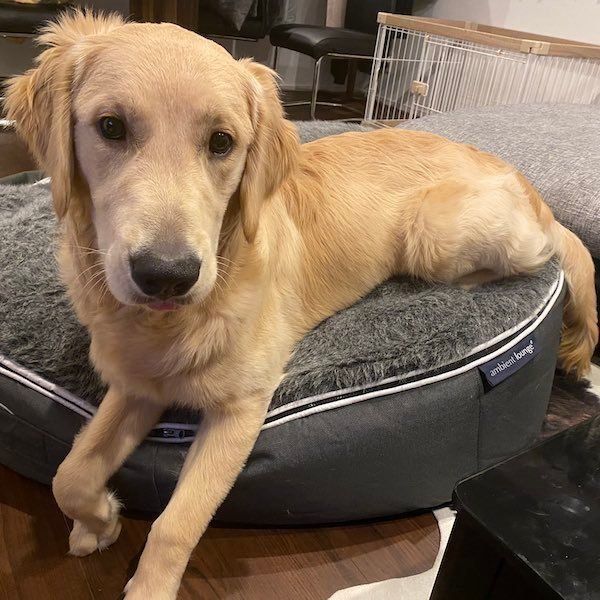 くつろぐらん丸くん