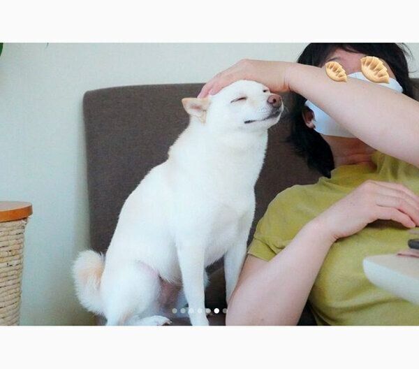 おばあちゃんが泊まりにきて大喜びするまめたちゃん