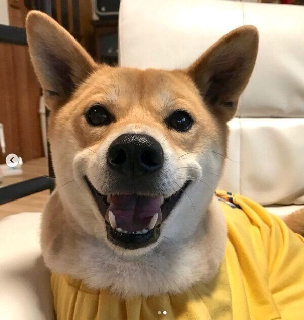 笑顔の朔太郎くん