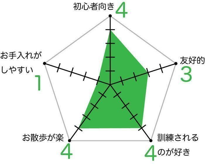 ヨークシャー・テリア　チャート