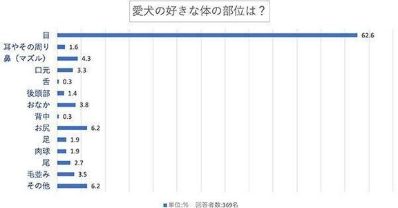 愛犬の好きな体の部位は?