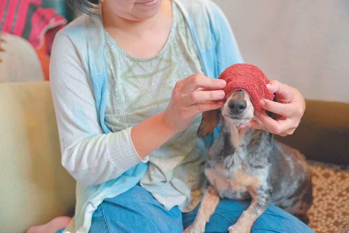 秋から冬の時期は蒸しタオルを当てて目元のケア