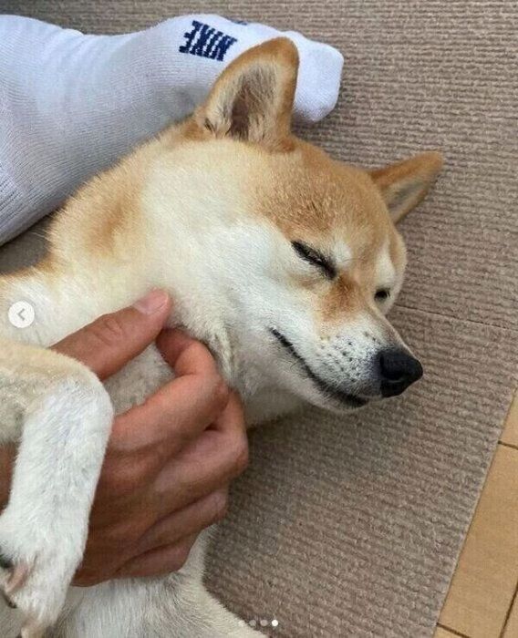 パパさんに甘えるすずちゃん