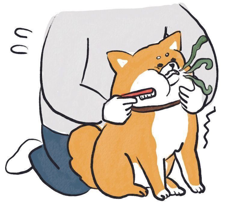 イラスト／SORRY.